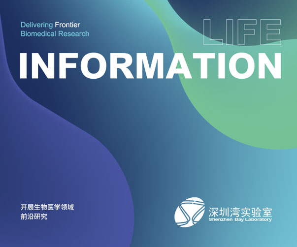 品牌設計正式發布前的六大關鍵準備